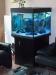 Kombiantion ProfiLine<br />
70x70x60 mit Eheimdirektanschluss in der Aquarium Bodenscheibe.
