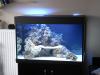 ProfiLine Seewasser<br />
100 x 70 x 70 mit T5 Beleuchtung<br />
ProfiLine Seewasser Technikbecken mit �berlaufschacht