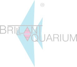 Stone R�ckwand Einbau von Brillant
