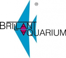 Brillant Aquarium 160x60x60 SOFORT