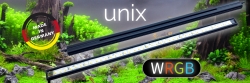 Daytime Unix LEDs