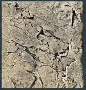 Slimline Element 50 x 55b  FX